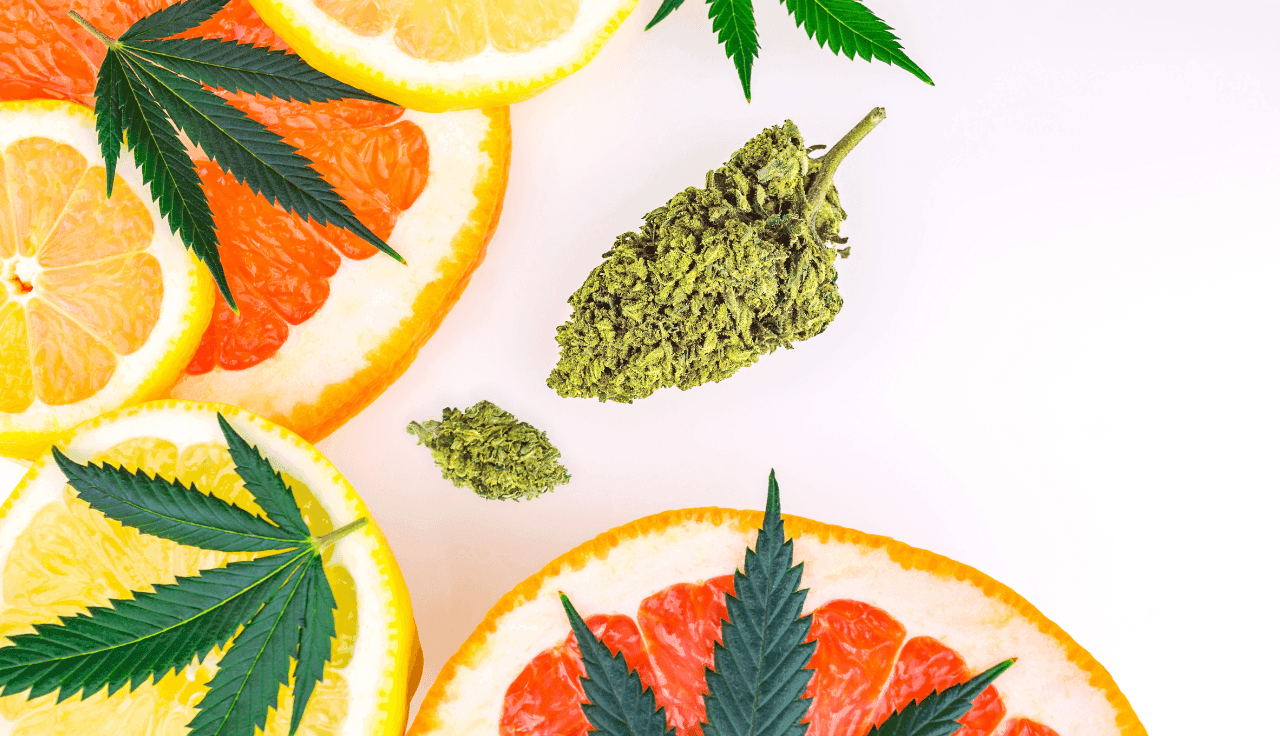 Cannabisblüte in der Mitte Cannabisblatter und Citrusfrüchte daneben